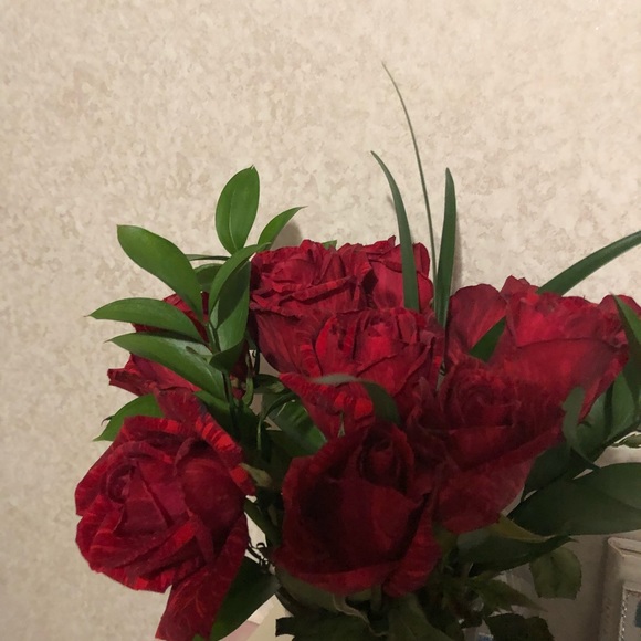 Meet your Posher, Maria - Picture 1 of 1